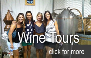 Wine Tours